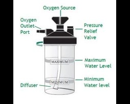 Frasco Humidificador 300ml Salter Labs